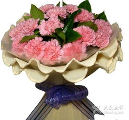  鲜花图片大全康乃馨，康乃馨鲜花图片欣赏，精选康乃馨花束及单枝花图片大全--第1张