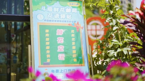  送鲜花服务，传递情感，传递美好，鲜花传递美好，送花服务让情感流动--第1张