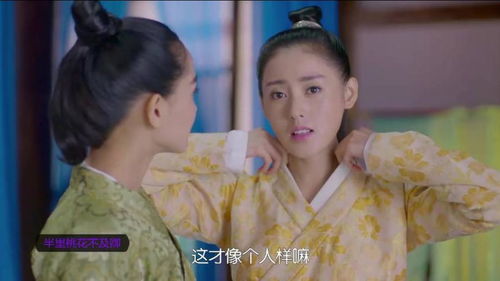  短剧小丫鬟升职记全集观看--第1张