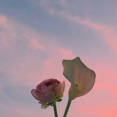  鲜花图片大全花束高清 高档--第1张