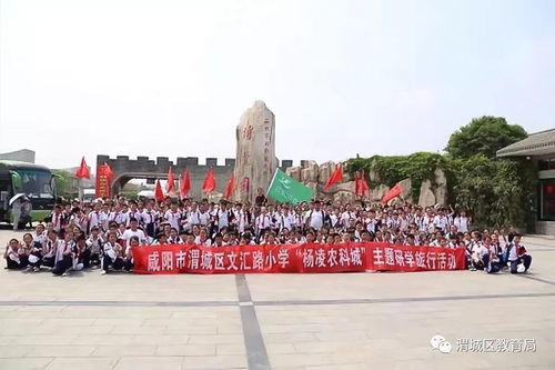  郴州文明网网上鲜花——绽放的文明之花，郴州文明网网上鲜花，绽放的文明之花--第1张