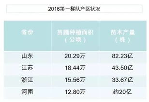  最新苗木价格行情分析--第1张