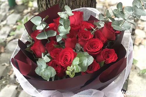  17朵玫瑰花的花语，浪漫之花，17朵玫瑰的花语--第1张