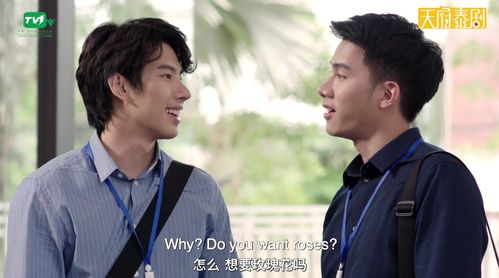  短剧醉后爱上你全集观看--第1张