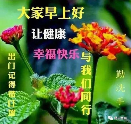  鲜花图片头像，传递美丽与温馨的独特方式--第1张