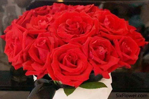 ，31朵玫瑰花代表什么意思，31朵玫瑰花代表爱你一生一世的意思--第1张