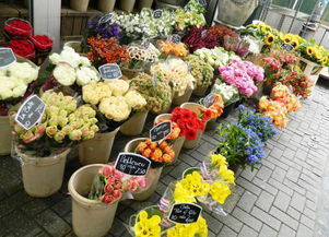  品牌花店加盟店排行榜--第1张