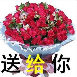 送花寄语——传递情感，表达心意，鲜花寄语，传递情感，表达心意--第1张