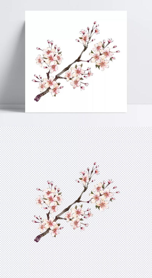  花朵图片大全，简单漂亮的花朵艺术，花朵艺术，简单而美丽的花朵图片大全--第1张