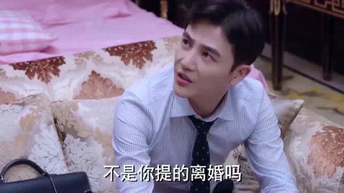  短剧夫人离婚后疯批总裁他慌了全集观看--第1张
