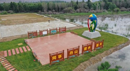  园林绿化平台网，打造绿色生态，共建美丽家园--第1张