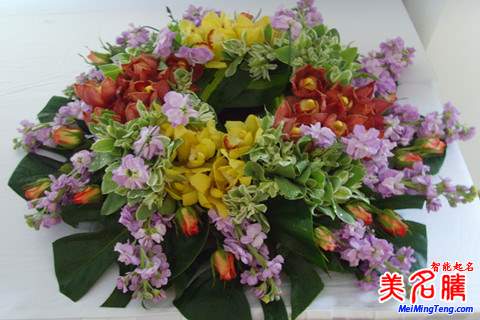  花卉公司取名大全--第1张