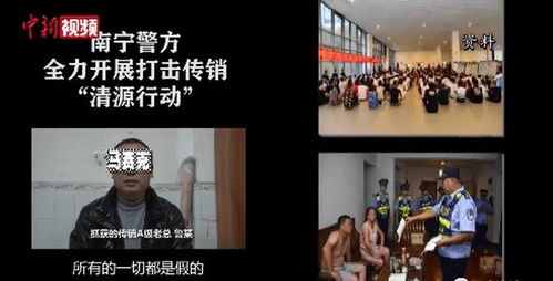 短剧冰山总裁的神级保镖全集观看--第1张