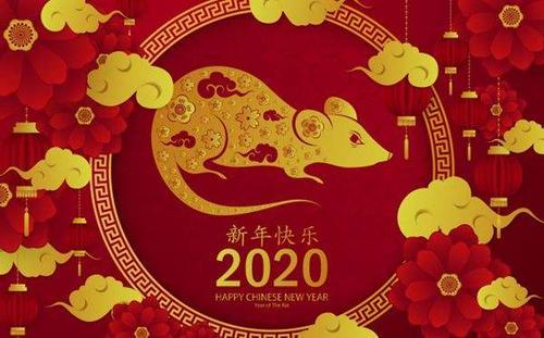  短剧龙年大吉之衣锦还乡全集观看，龙年大吉之衣锦还乡全集在线观看，春节回家--第1张