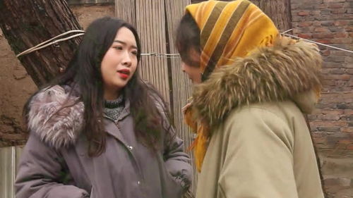  短剧弃婚归来全集观看--第1张