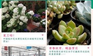  花木网下载，花木网下载，一站式花木交易平台--第1张