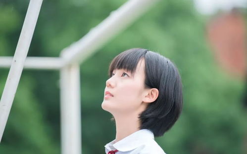  短剧生崽后前夫总说他清心寡欲全集观看--第1张