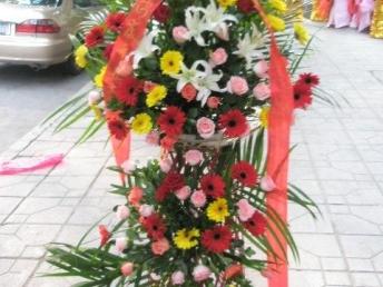  自贡鲜花店配送服务--第1张
