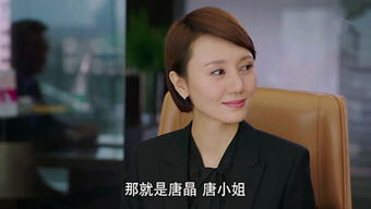  娱乐圈女王全集，短剧中的魅力与智慧，娱乐圈女王，短剧中的魅力与智慧--第1张