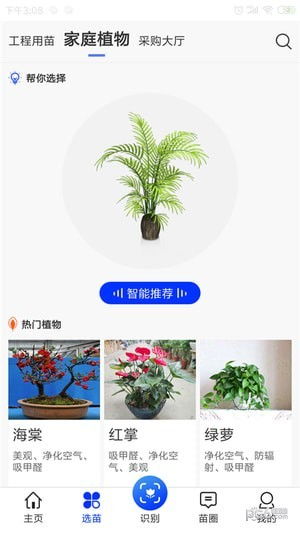  最大的苗木app平台——引领绿色生活的新潮流--第1张