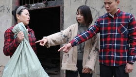  短剧总裁夫人是郡主全集观看，总裁夫人郡主归来，短剧全集--第1张