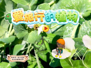  植物的传播方法，植物的奇特传播方式--第1张