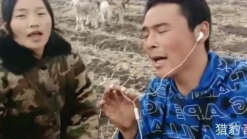  ，九百九十九朵玫瑰花原唱--第1张