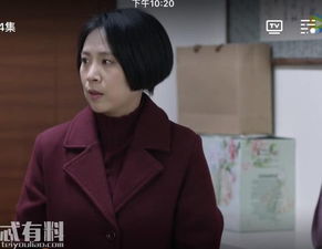  短剧迷雾山庄迷雾中的她全集观看--第1张