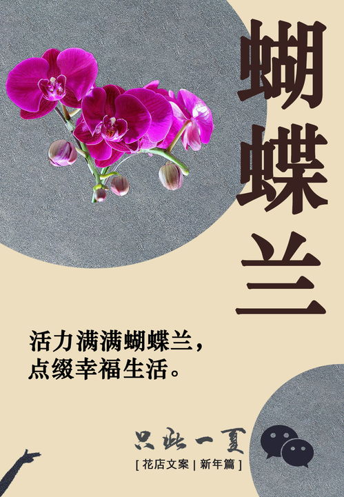  花的文案高级感--第1张