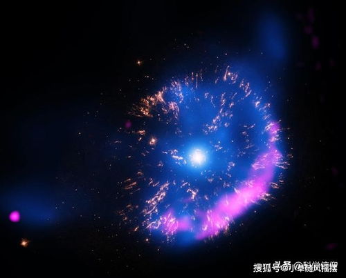  星辰花，夜空中最闪耀的秘密--第1张