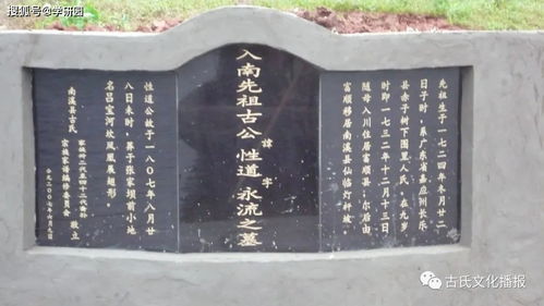  短剧清明祭祖族谱为我单开一页全集观看--第1张