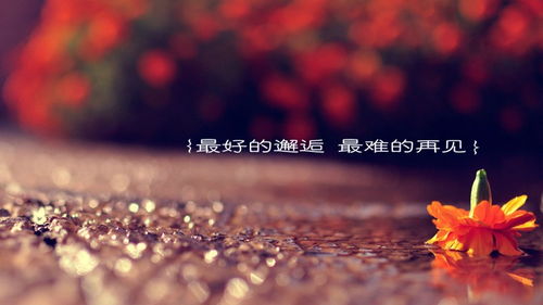  短剧拨开云雾说爱你全集观看--第1张