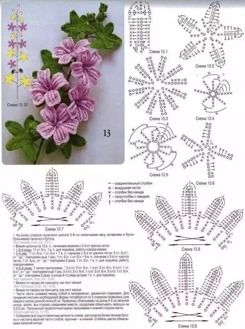  花卉爱好者必收藏，介绍花卉的网站大全--第1张