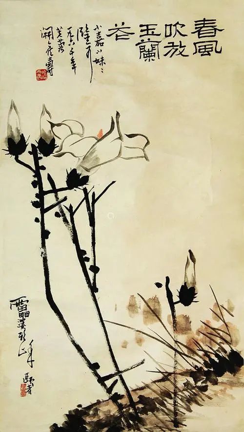  玉兰花的美，宛如一幅淡雅的水墨画，让人陶醉其中。它那洁白如玉的花瓣，犹如一片片云朵，轻盈地飘浮在枝头。玉兰花的香气，清新淡雅，仿佛把人带入了一个纯净的世界。--第1张