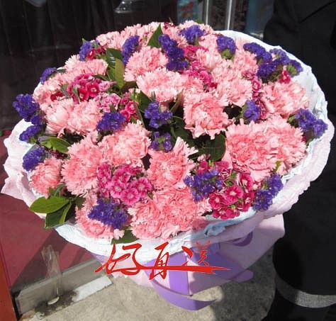  代表教师节的花--第1张