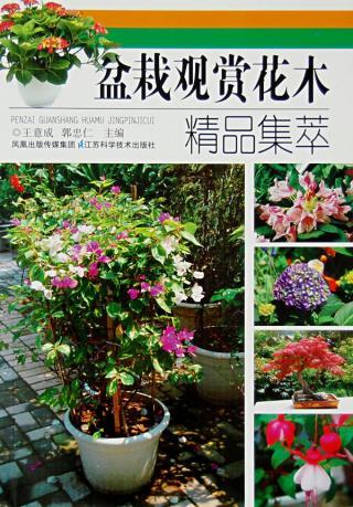  花木网最新报价，精选优质花卉苗木，助您轻松打造美丽花园--第1张