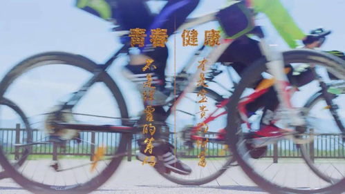  短剧盖世禁主全集观看，揭秘禁地真相，领略英雄风采--第1张