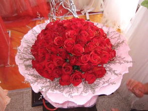  12朵玫瑰花语的含义，12朵玫瑰的花语是圆满结束，美好的回忆和对你未来的美好祝愿。--第1张