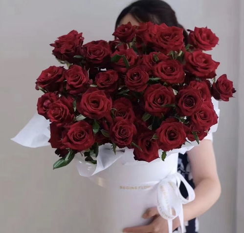  节日送花大全，送什么花最合适？，节日送花大全，送什么花最合适的秘籍--第1张