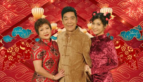  都市战婿，喜气洋洋全集观看--第1张