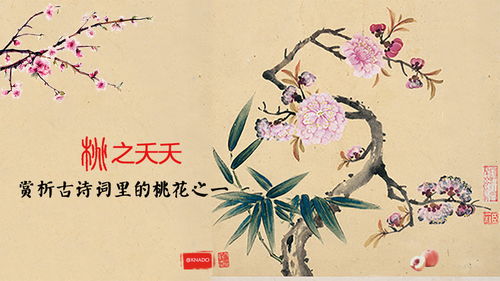  桃花的诗句--第1张