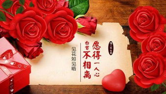  情侣送什么花有意义--第1张