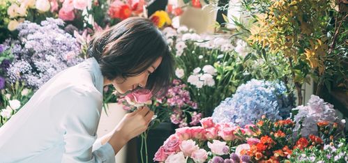  花点时间网上订花--第1张