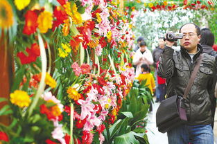  附近大型花卉批发市场——花卉爱好者的天堂--第1张