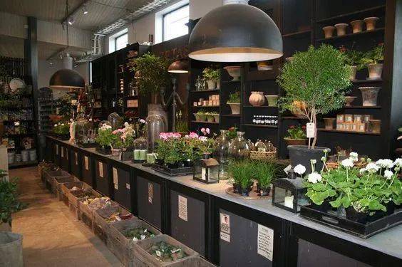  花店倒闭十大原因，花店倒闭十大原因，经营不善、竞争激烈、资金短缺、管理不当、选址不当、缺乏创新、缺乏营销策略、员工管理不当、供应链问题、市场饱和等。--第1张