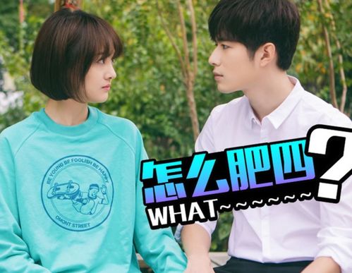  短剧夏至未至全集观看--第1张