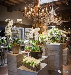 成都鲜花花店电话--第1张