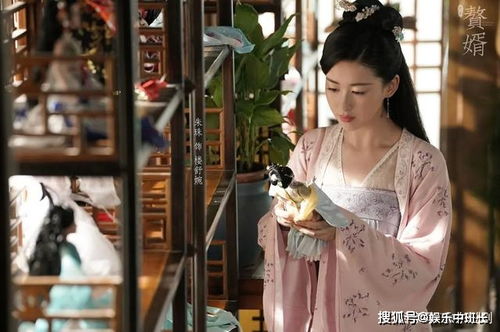 赘婿大结局楼舒婉黑化_赘婿的楼舒婉结局--第1张