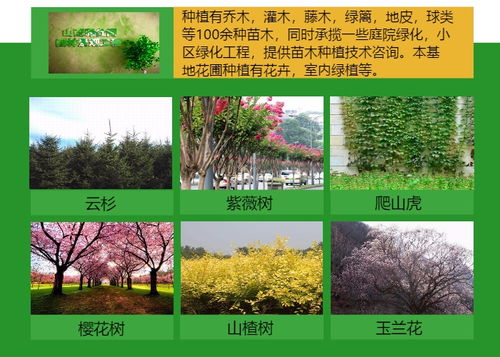  园林绿化苗木种植合同--第1张