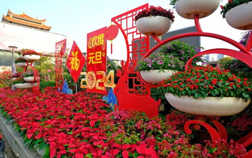  节日鲜花预定，让你的节日氛围瞬间升级--第1张
